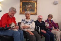 May 2026 Newsletter Images - 1