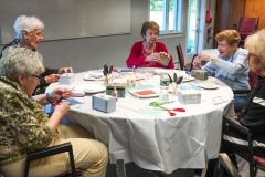 Gallery Images for Website - 6