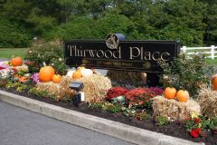 Gallery Images for Website - 2