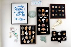 Gallery Images for Website - 2