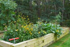 Gallery Images for Website - 1