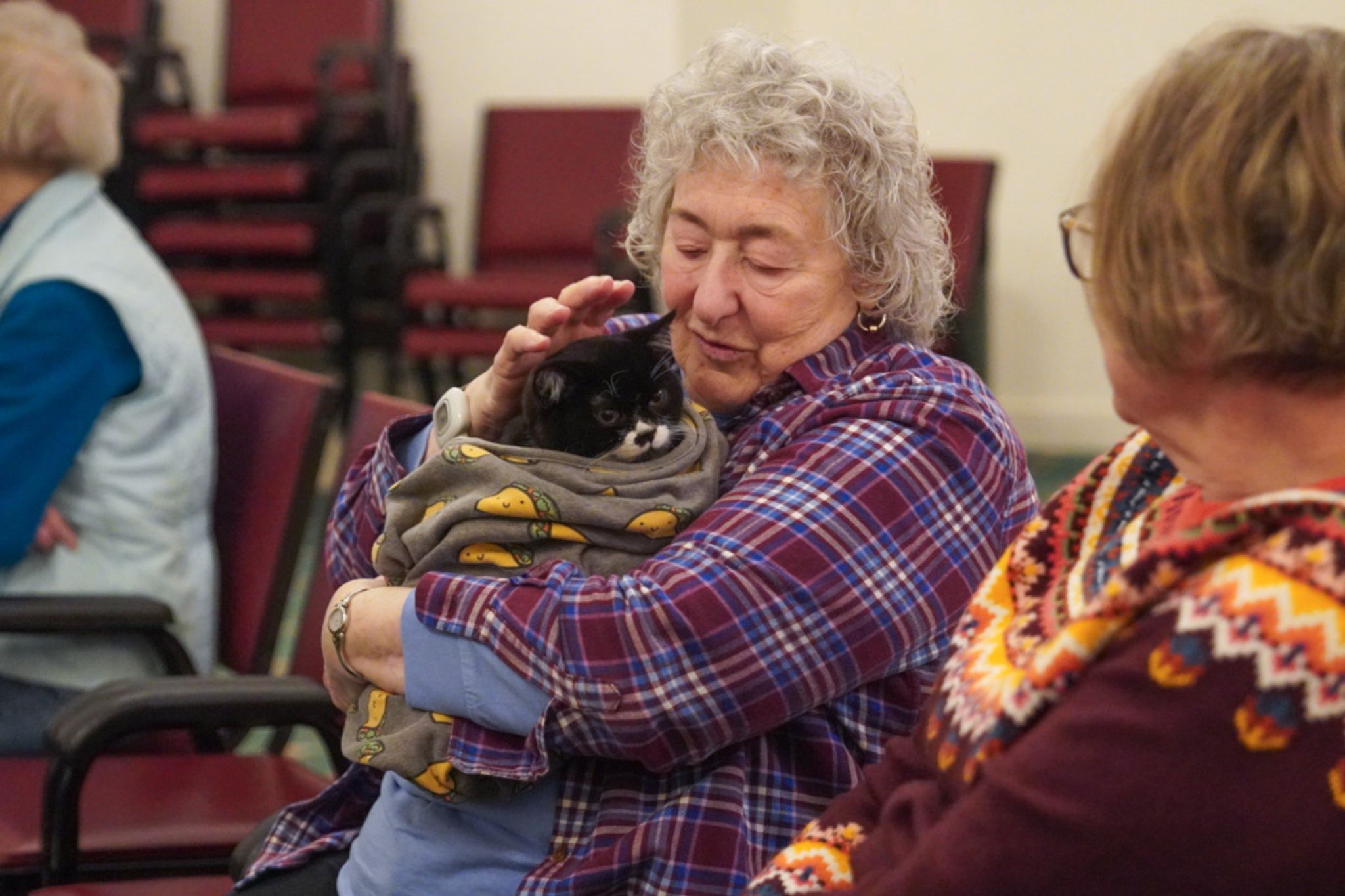 Older woman cuddling a black and white cat wrapped in a blanket, sitting among other people indoors, sharing stories of her scholarship days.