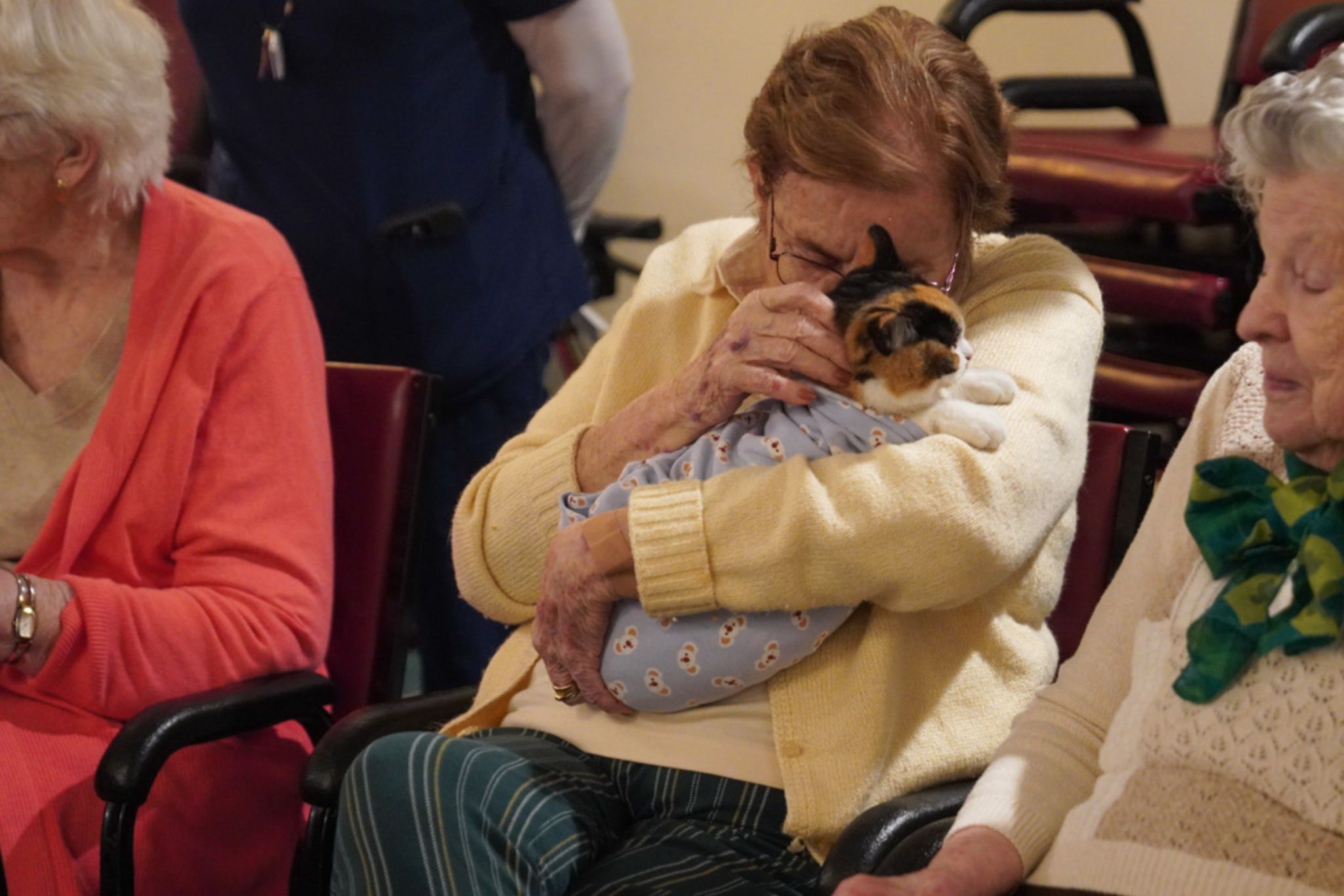 An elderly woman hugs a cat wrapped in a blanket, sitting between two other women in a room, sharing stories of scholarship and lifelong learning.