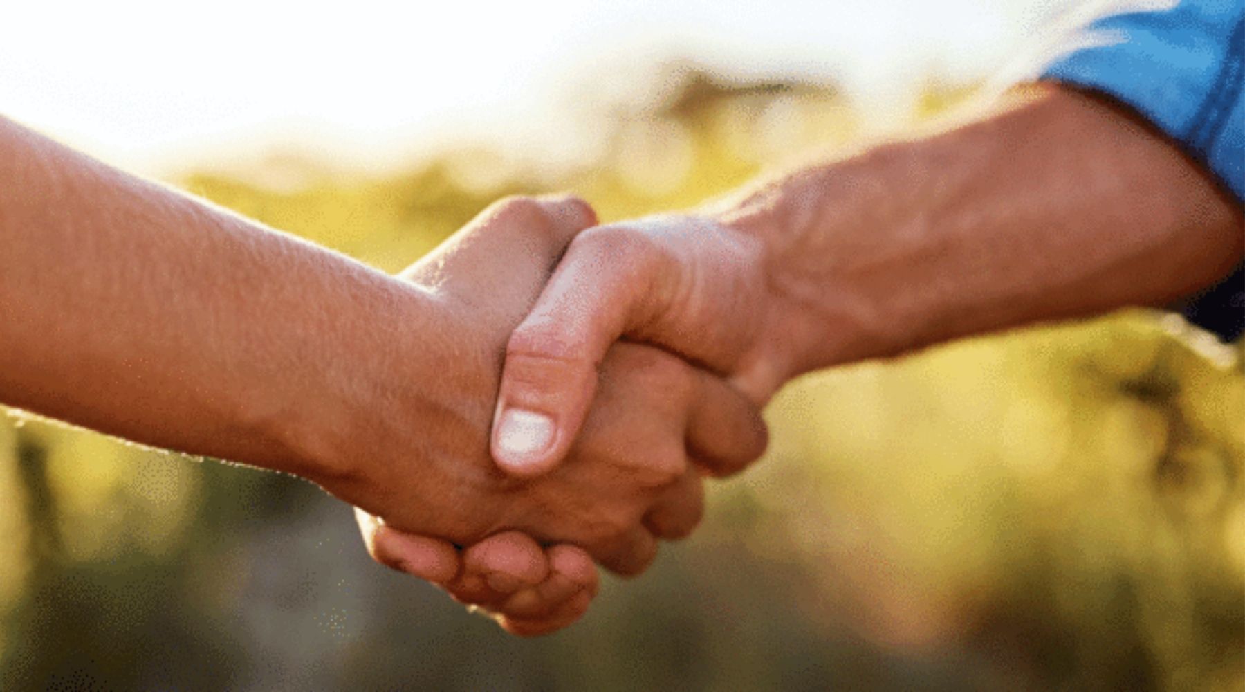 What Your Handshake May Say About Your Health
