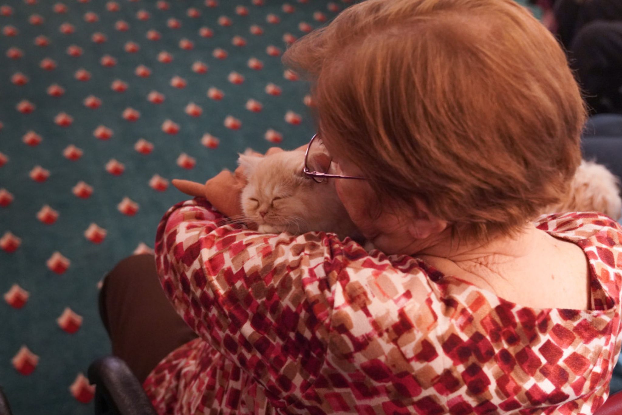 Older woman with glasses, perhaps reflecting on her scholarship days, hugs a sleeping cream-colored cat against her shoulder in a cozy room.
