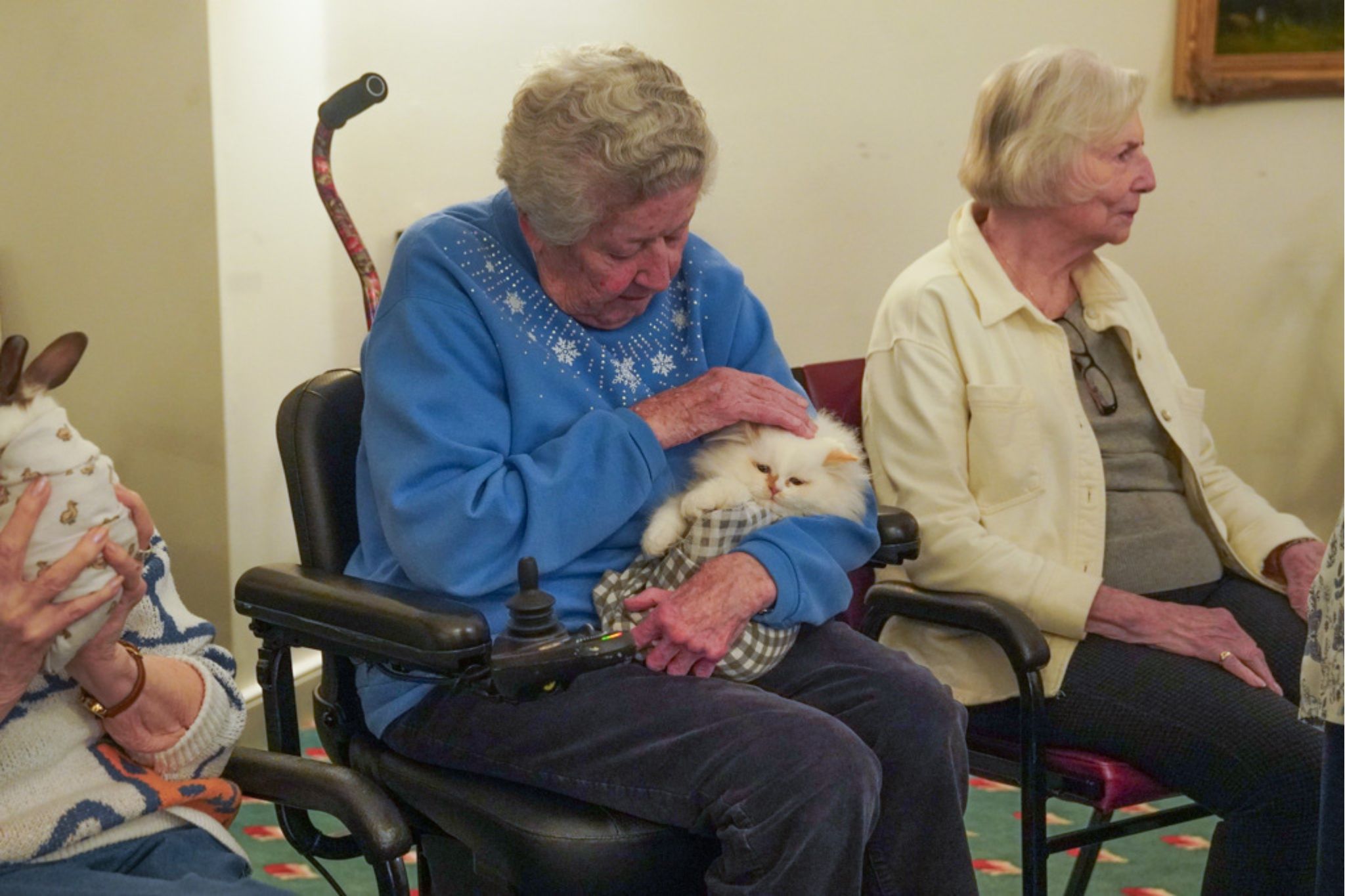 Three elderly women sit together; one gently pets a fluffy cat on her lap, while another, reminiscing about her scholarship days, holds a small rabbit.