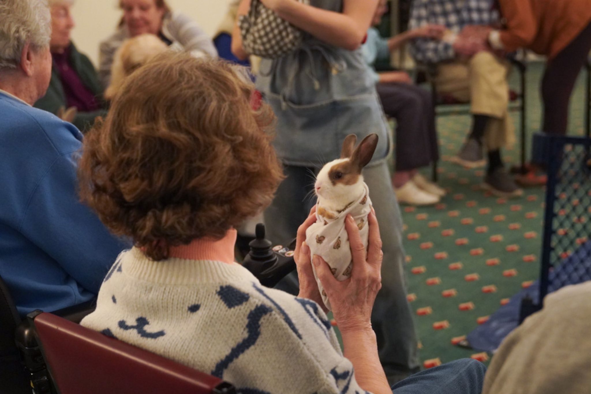 During a scholarship celebration indoors, a person gently holds a small rabbit in their hands amid the group gathering.