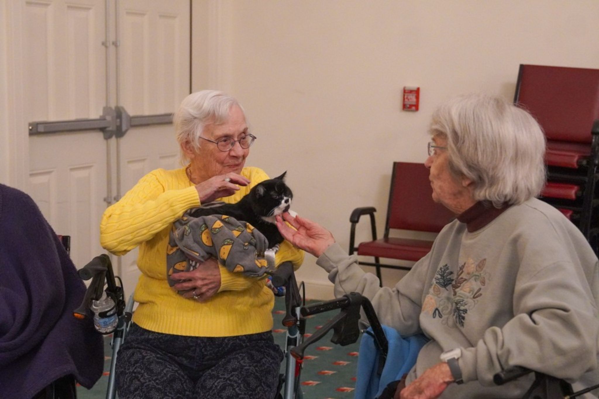 Two elderly women sit together as one holds a black-and-white cat wrapped in a blanket, both gently petting it and sharing stories about their lives, including memories from their scholarship days.