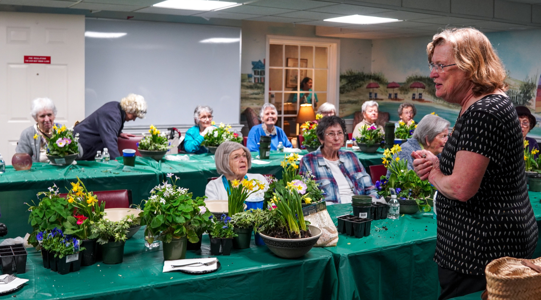 C.L. Fornari at The Cove: Spring Dish Gardens