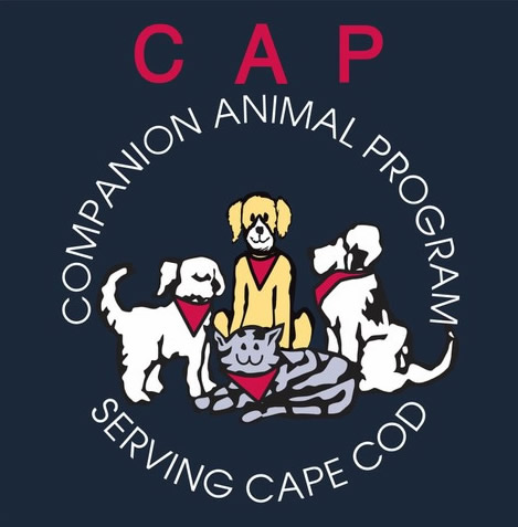 Logo features three dogs and a cat wearing red bandanas, capturing the spirit of animal companionship. Text reads Companion Animal Program, Serving Cape Cod.