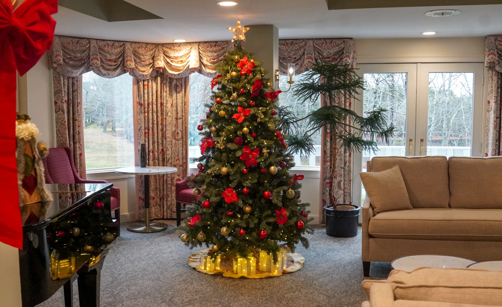 A decorated Christmas tree with red ornaments and delicate seashells stands in a cozy living room by large windows and a sofa.