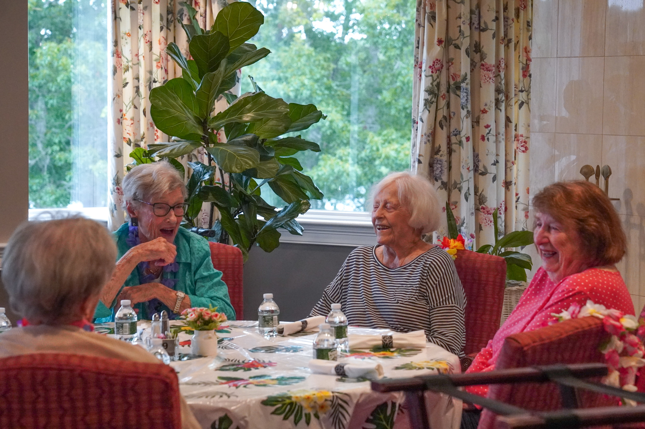 Four elderly women sit around a table, laughing and talking in a brightly lit, cozy room filled with plants, as the warmth of summer sunlight streams through the windows.