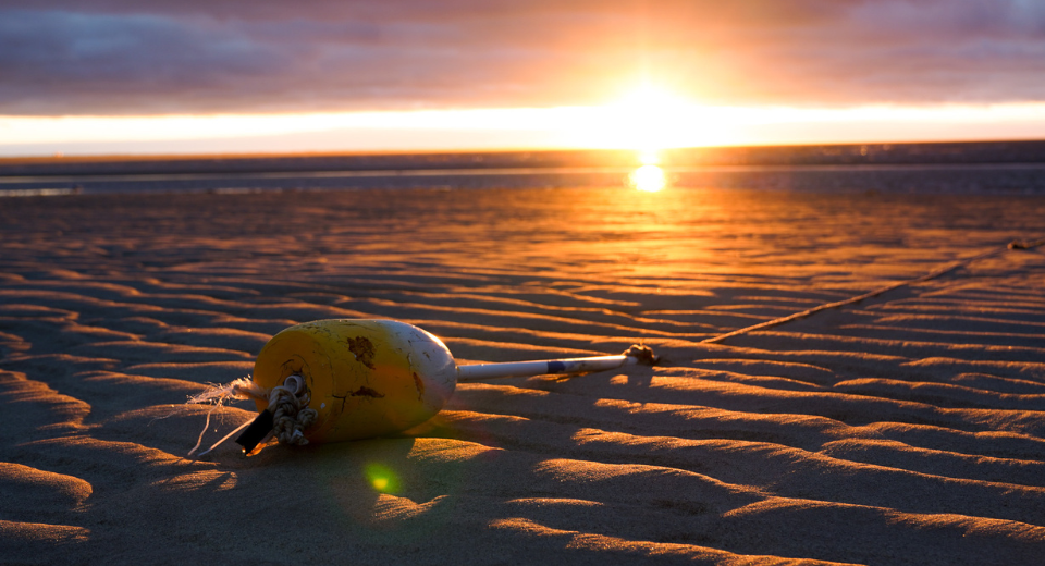 The Thirwood Difference: The Cape Cod Lifestyle