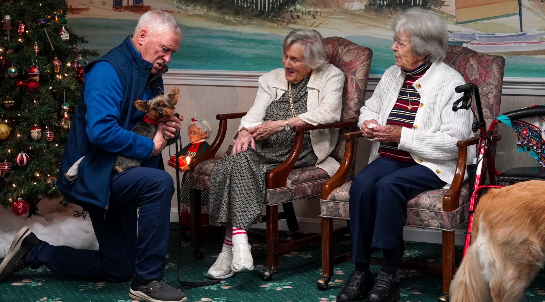 A man shows a small animal to two elderly women sitting by a Christmas tree, all smiling and engaged.