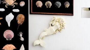 Cape Cod-inspired wall art with seashells, a framed shell display, and a decorative white mermaid figure adds coastal charm to any space.