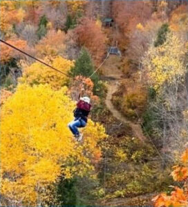 Person ziplining over a forest with colorful autumn foliage in shades of yellow and orange, celebrating a scholarship win.
